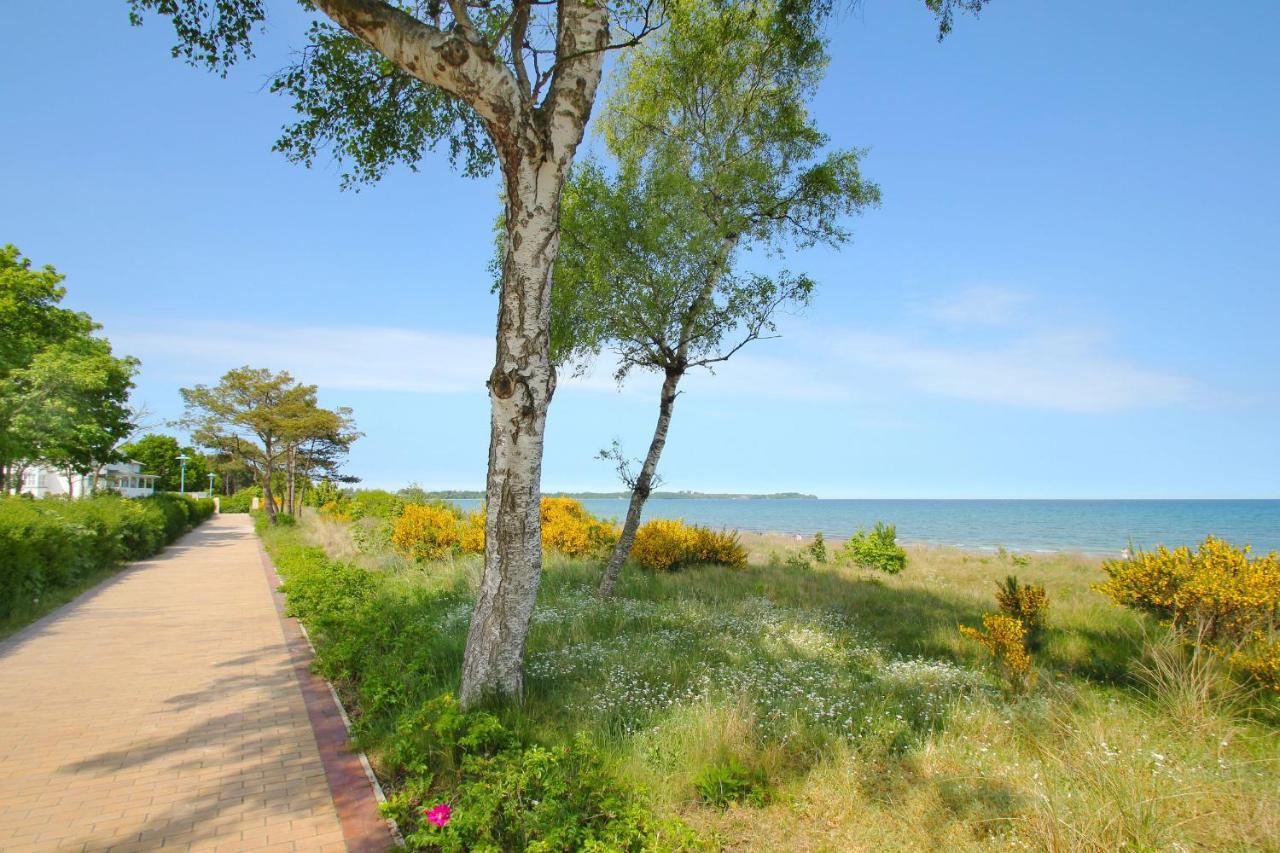 Residenz Mare Baltikum Fewo 3 - Strandnah, Terrasse, Sauna Juliusruh Exteriör bild